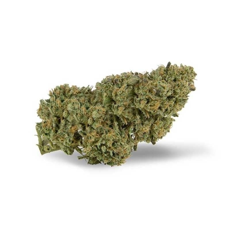 Golden HAZE HE