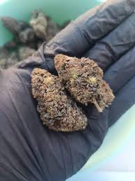 Black Mango